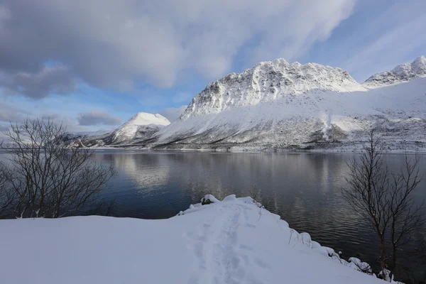 Zima w Norwegii — Zdjęcie stockowe