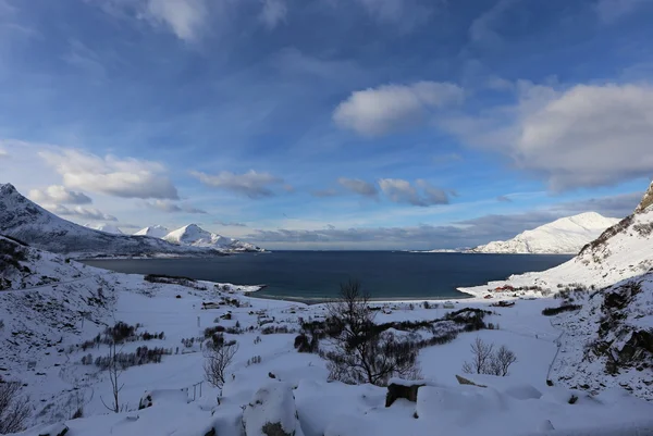 Winter in Norway — Stock Photo, Image