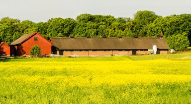 Norveç'te çiftlik evleri
