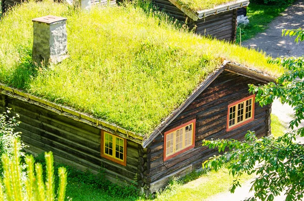 Grass roof country house — Stock Photo, Image