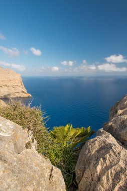 Mallorca Balear Adaları