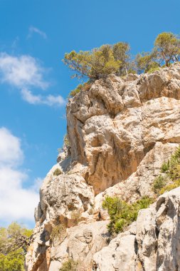 Formentor mallorca sahil Balear Adaları