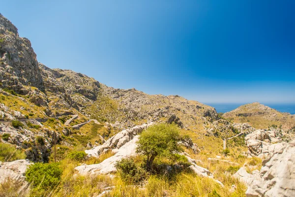 Formentor Mallorca Baleariske Øer - Stock-foto