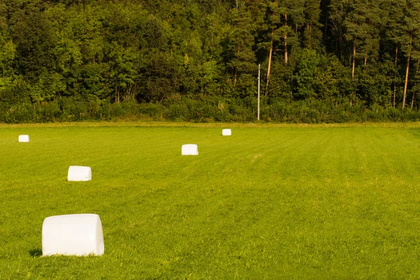 Siloballen gerollt auf der Wiese bei Norwegen — Stockfoto