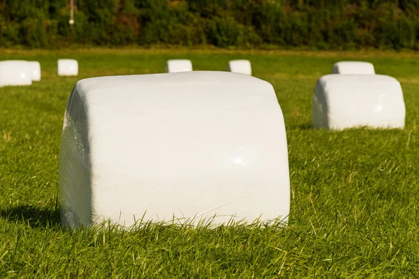 Ballen einer grünen Ernte, zur Lagerung in Plastik eingewickelt — Stockfoto