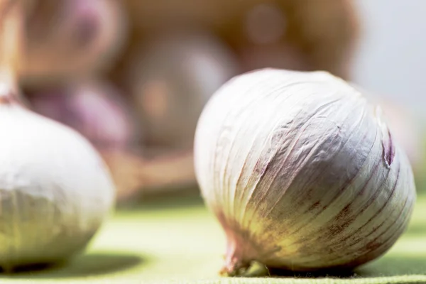 Knoblauch aus nächster Nähe — Stockfoto