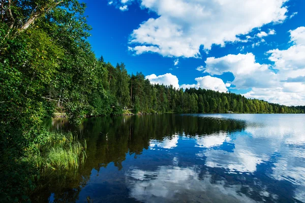 Lago do norte em uma floresta — Fotografia de Stock