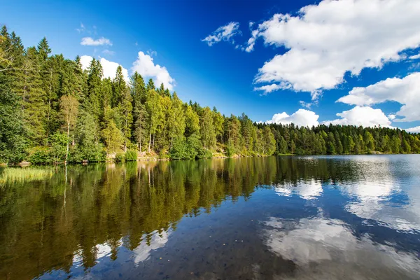 Άγρια forrest λίμνη ουρανό — Φωτογραφία Αρχείου