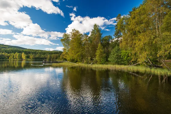 Forrest lake — Stock Photo, Image