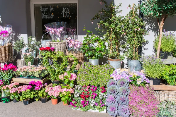 Blumenladen — Stockfoto