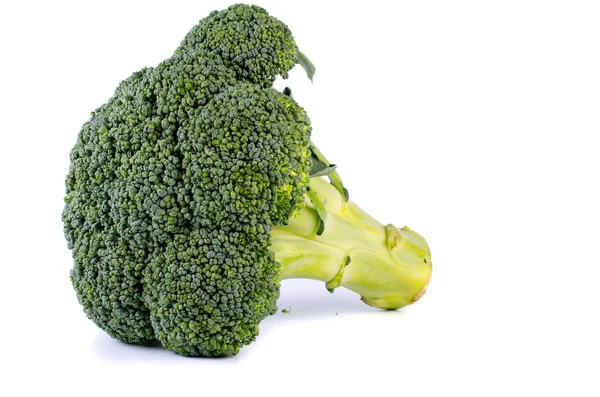 Broccoli isolated — Stock Photo, Image