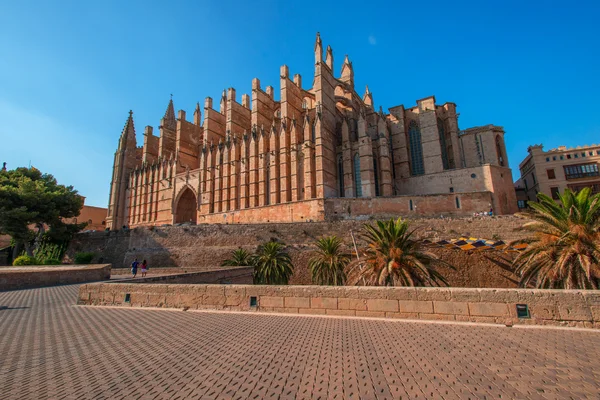 Katedralen i palma de Mallorca på kvällen — Stockfoto