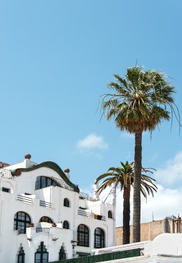 Beyaz Saray ile İspanya kıyısında palmiye ağaçlarının