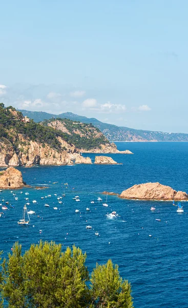 Demirli tekneler ve yatlar tossa de mar koyunda, kuş görünümü — Stok fotoğraf