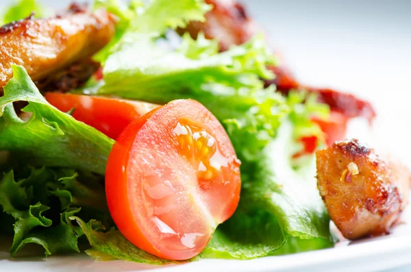 Närbild kött sallad — Stockfoto