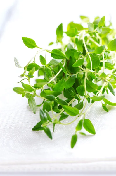 Thyme herb on white tablecloth — Stock Photo, Image