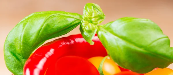 Basilikumblätter mit Kirschtomaten und Chilipfeffer aus nächster Nähe — Stockfoto