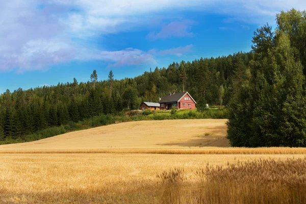 Farmhouse on field — Stock Photo, Image