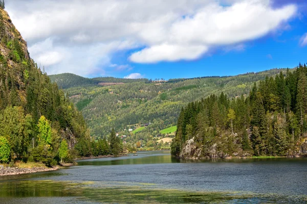 Wide mountain river in Norway — Stock Photo, Image