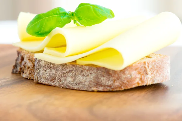 Peynir domates ve fesleğen Sandwich yakın çekim — Stok fotoğraf