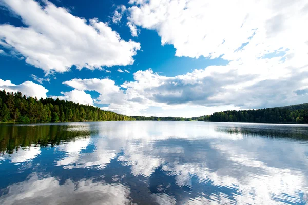 Lesní jezero — Stock fotografie