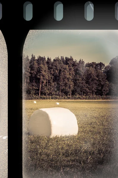 Campo con fardos en tira de película vieja — Foto de Stock