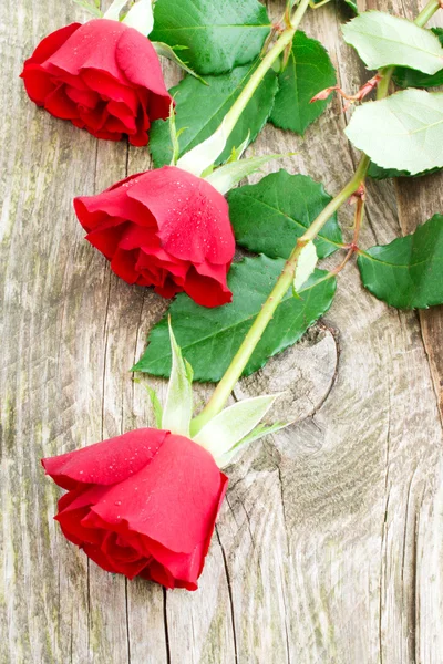 Rosas em fundo de madeira — Fotografia de Stock