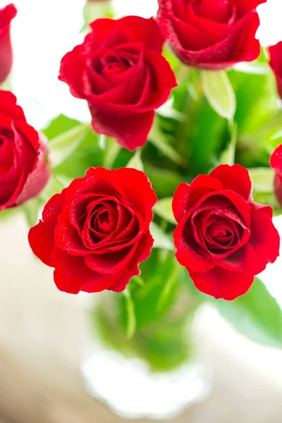 Bouquet of red roses with copy space — Stock Photo, Image