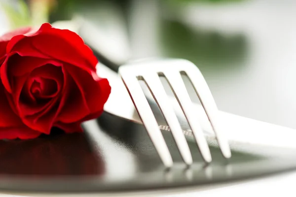 Composition of rose knife fork on plate — Stock Photo, Image