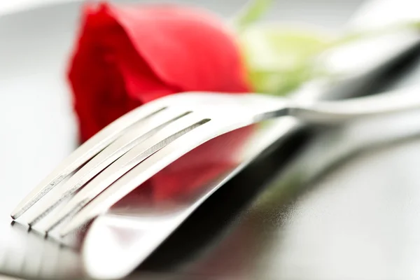 Composición de la rosa cuchillo tenedor macro — Foto de Stock