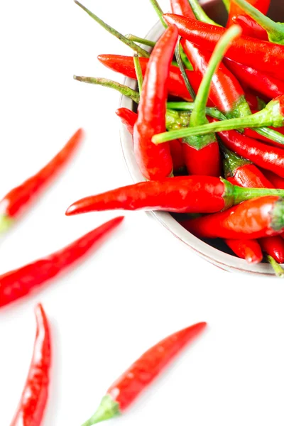 Chilli peppers in bowl on white background — Stock Photo, Image