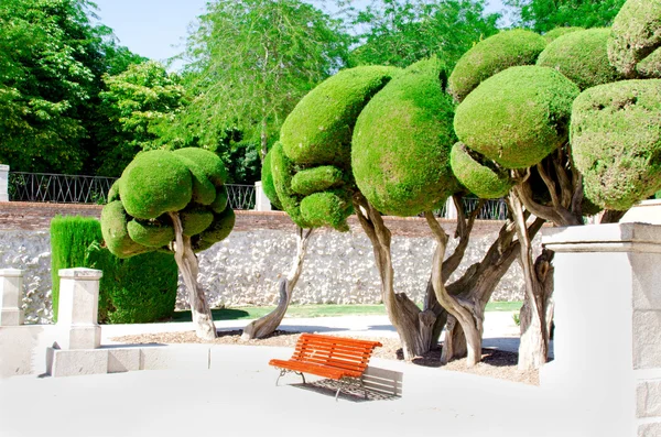 Árvores e banco no parque do retiro agradável em Madrid — Fotografia de Stock