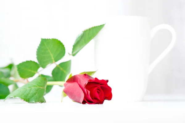 Rose rouge et tasse sur la table — Photo