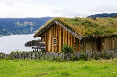 bir çim üzerinde bir çatı ile bulutlu gökyüzü ile ev