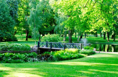 Parktaki Köprü