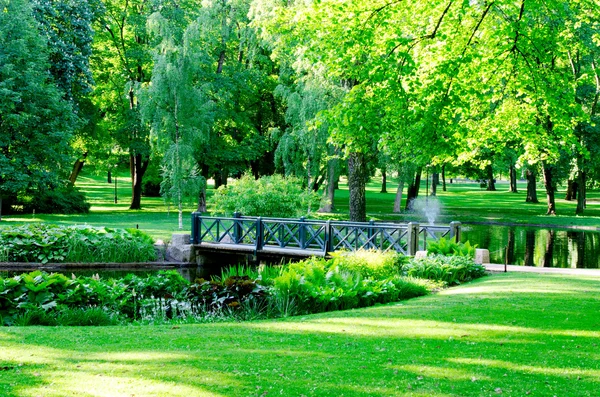 Ponte em um parque — Fotografia de Stock