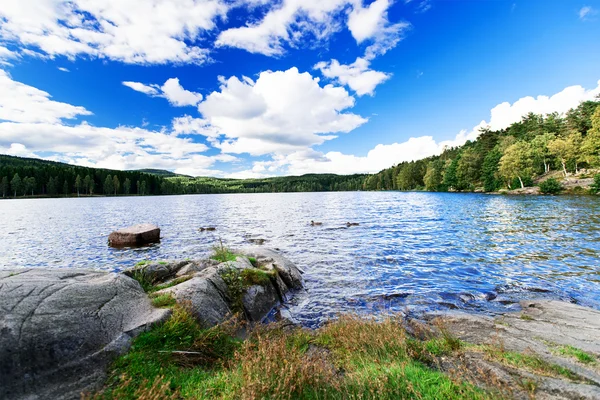 Forest lake — Stock Photo, Image