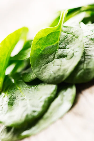 Spinach leaves — Stock Photo, Image