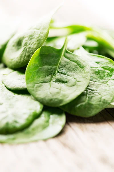 Spinach leaves — Stock Photo, Image