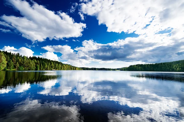 Lake at forest — Stock Photo, Image