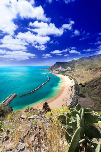 Playa de Las Teresitas vista general vertical — Foto de Stock