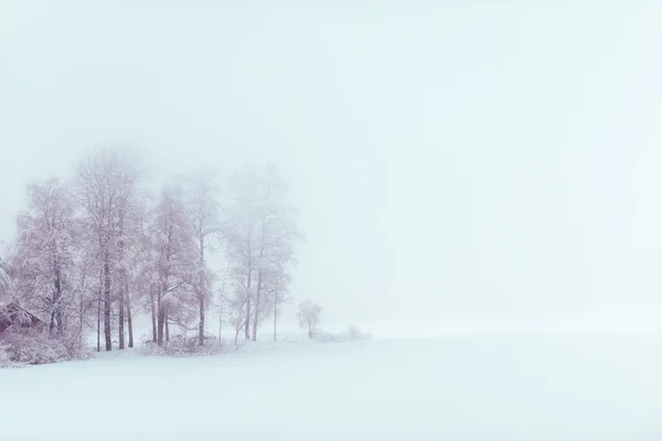 Lago en el día de invierno — Foto de Stock
