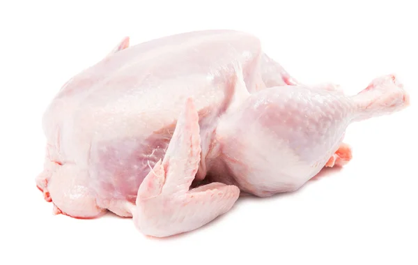 鶏の刺身 — ストック写真