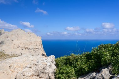 Sahil tropikal Adası