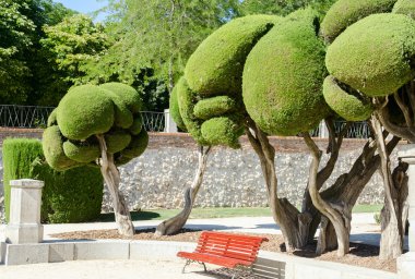 Madrid 'deki Buen Retiro Parkı