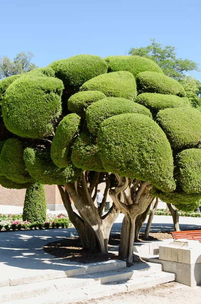 Parco Buen Retiro a Madrid — Foto Stock