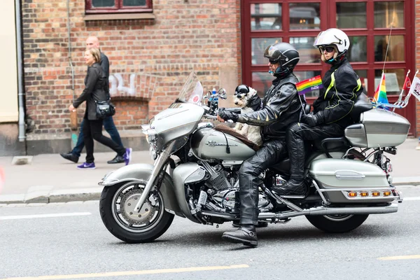 Europride-Parade in Oslo — Stockfoto