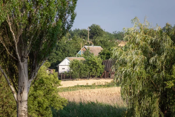 Summer in the countryside of the Zaporizhzhia region.