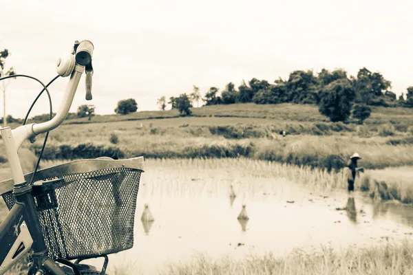 Bicicleta vieja en paisaje de granja — Foto de stock gratis