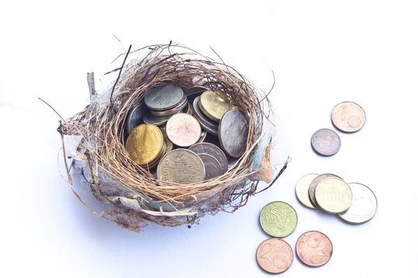 Peníze v ptačí hnízdo — Stock fotografie